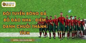 Đội Tuyển Bóng Đá Bồ Đào Nha - Điểm Danh Chuỗi Thành Tích